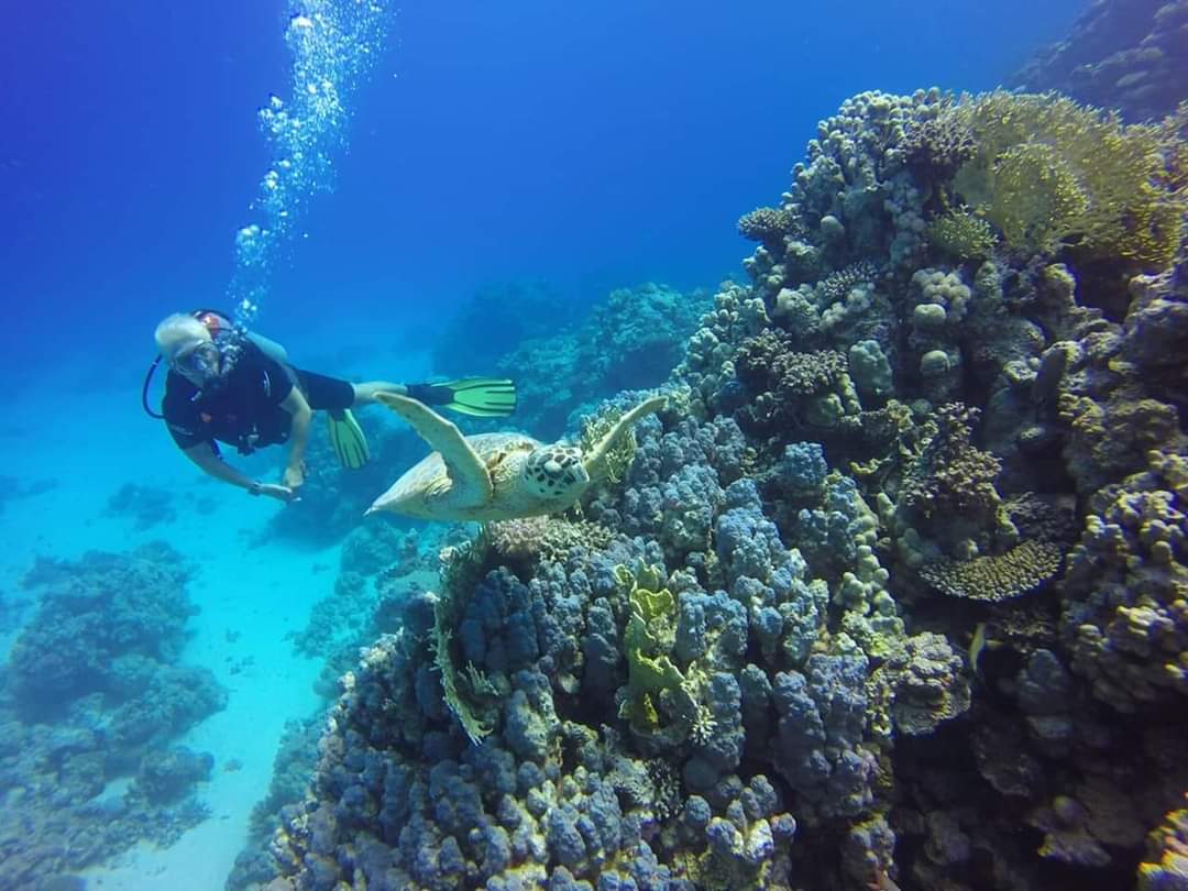 Diving & Snorkeling Boat Tour in Hurghada