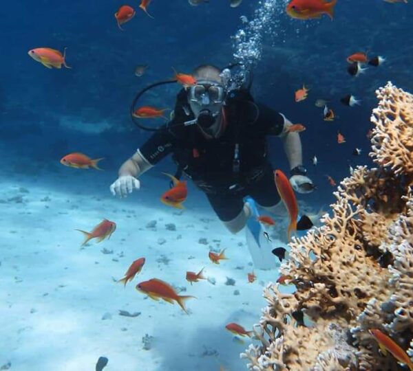 Diving & Snorkeling Boat Tour in Hurghada