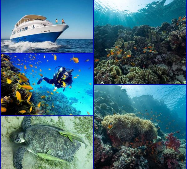 Diving & Snorkeling Boat Tour in Hurghada