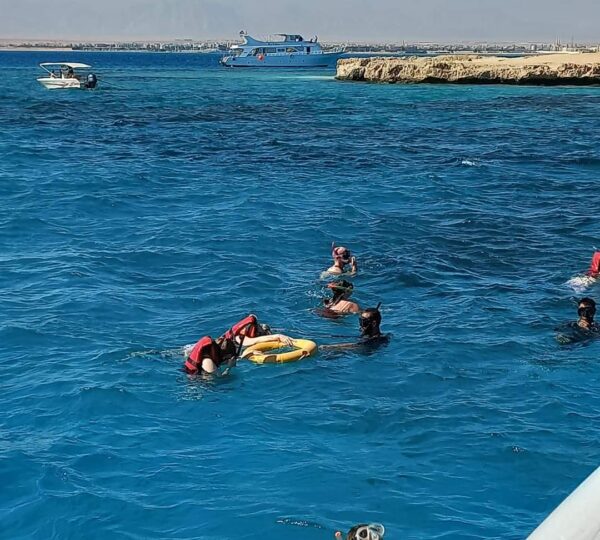 DOLPHIN HOUSE SNORKELING CRUISE