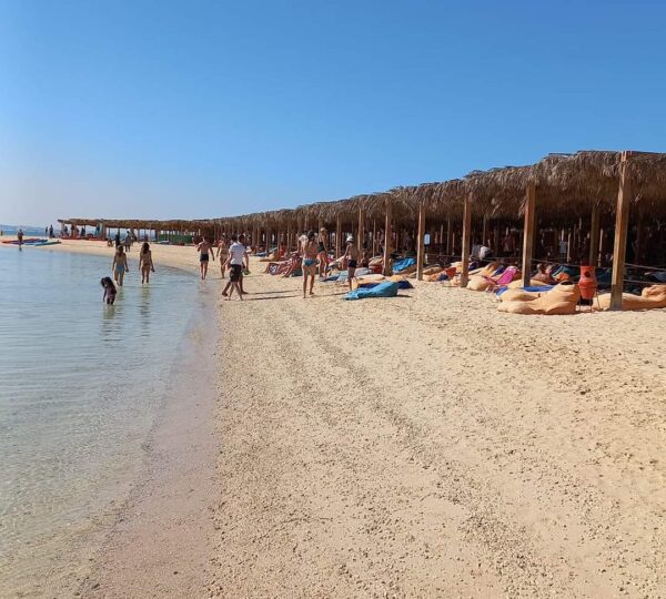 PARADISE ISLAND SNORKELLING TRIP