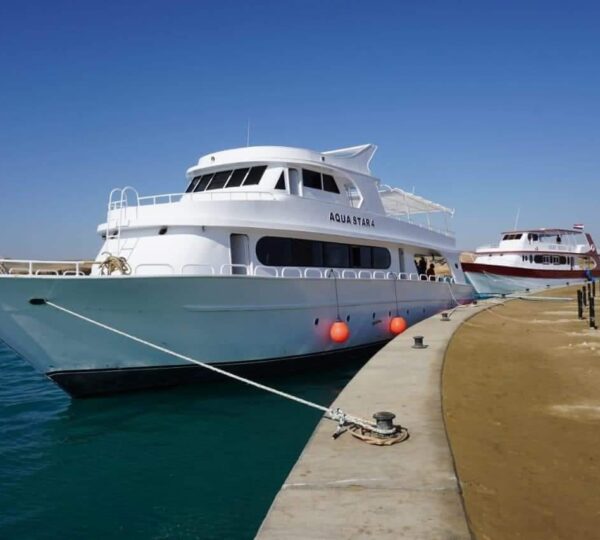 DOLPHIN HOUSE SNORKELING CRUISE