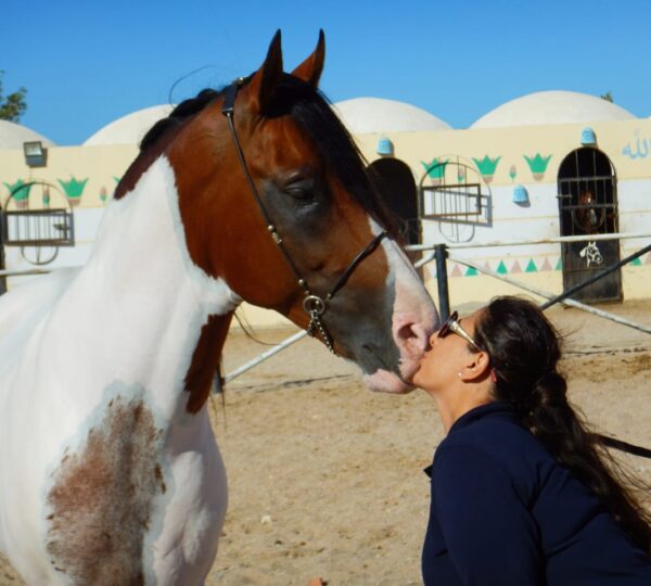 Sea and Desert Tour by Horse