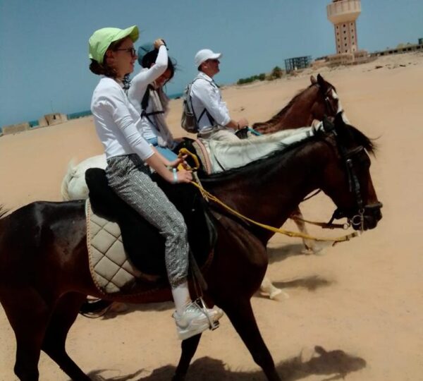 Sea and Desert Tour by Horse