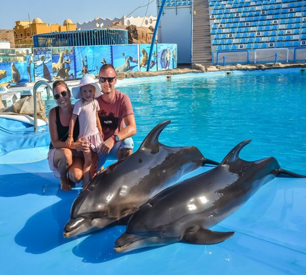 Dolphin Show and Walrus Iin Hurghada