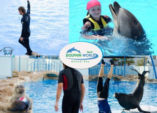 Delfinarium Hurghada