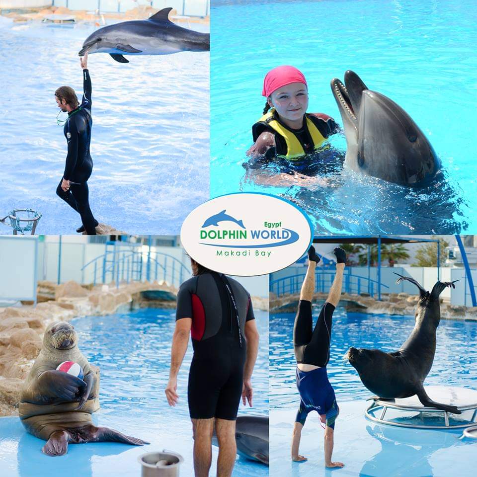 Delfinarium Hurghada