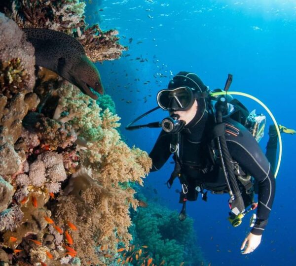 Scuba diving in Marsa Alam