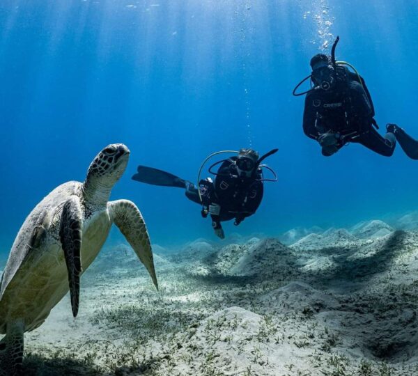 Scuba diving in Marsa Alam