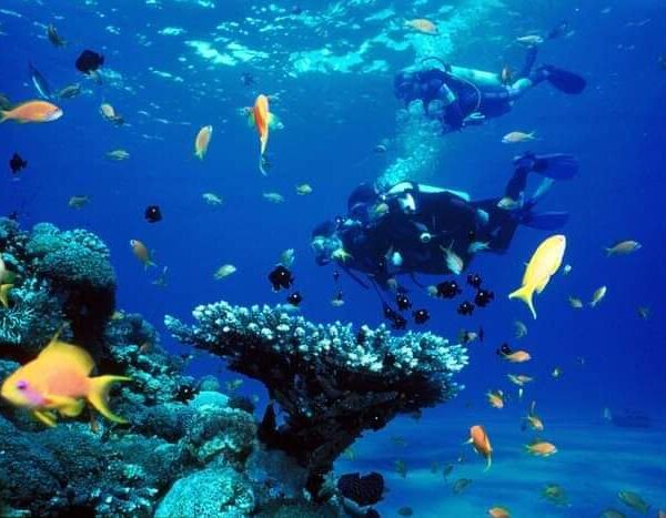 Sea Trips In Hurghada