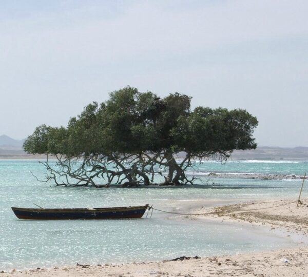 Sharm El Luli and Qulan Lagoon in Marsa Alam