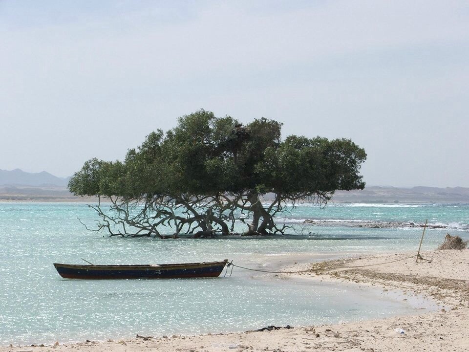 Sharm El Luli and Qulan Lagoon in Marsa Alam