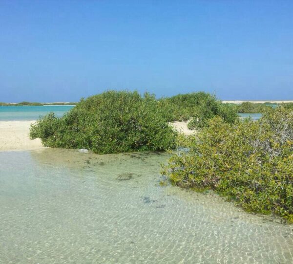 Sharm El Luli and Qulan Lagoon in Marsa Alam