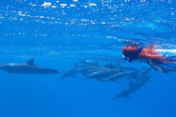 Satayah Dolphin House in Marsa Alam