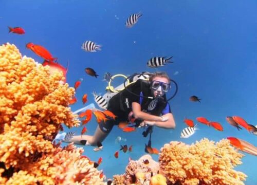 Scuba diving in Marsa Alam