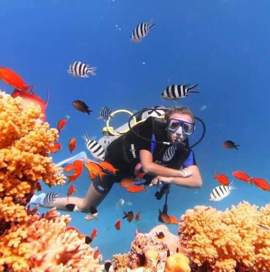 Excursions in Marsa Alam​